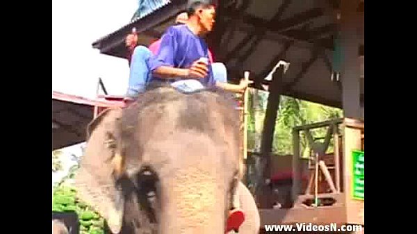 เย็ดสาวไทย หีสาวไทย รุมโทรม ผลัดกันเย็ด ซอยหี